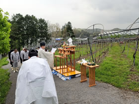 安心院葡萄酒工房 栽培祈願祭