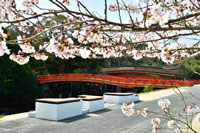 来月の行事予定